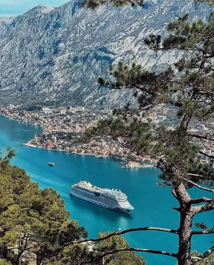 Lana Sea View Apartment Kotor Eksteriør billede